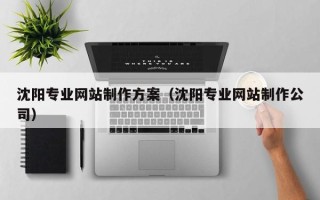 石家庄沈阳专业网站制作方案（沈阳专业网站制作公司）
